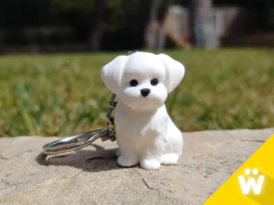 Llavero de Mascota Personalizado - Imagen 3
