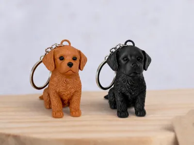 Llavero de Mascota Personalizado - Imagen 4