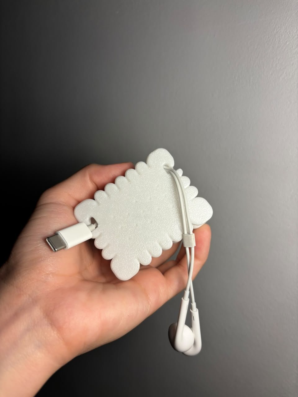 Porta Audífonos de Cable de Galleta