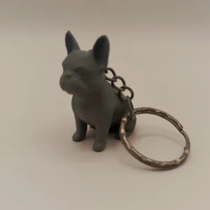 Llavero de Mascota Personalizado