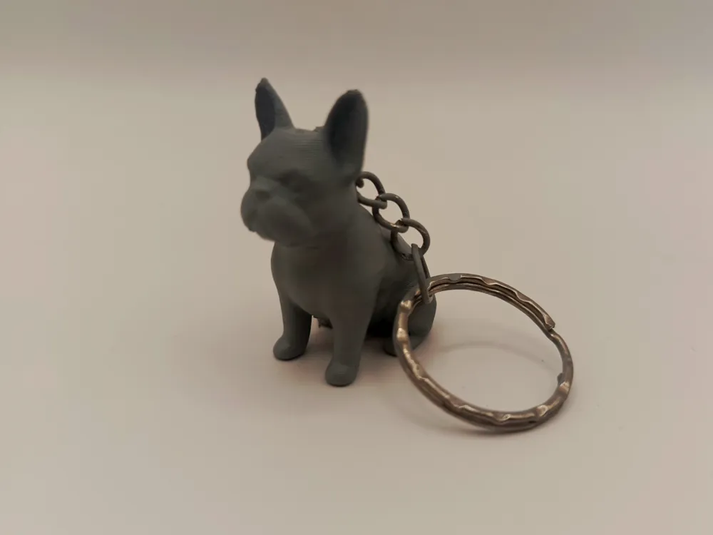 Llavero de Mascota Personalizado